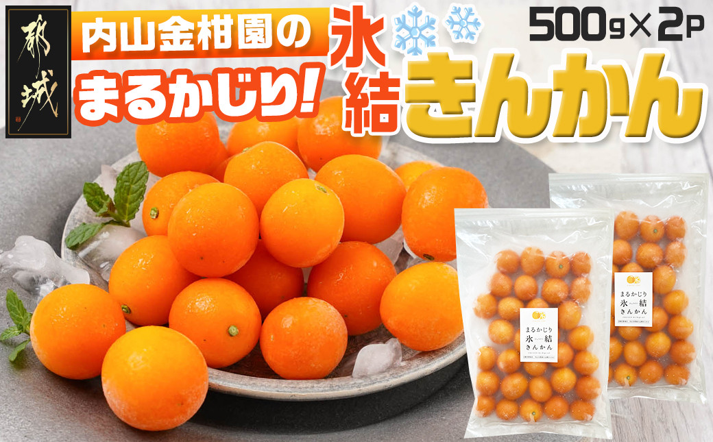 
            【徳用】内山金柑園のまるかじり氷結きんかん1kg(500g×2P)_12-J702_(都城市) 果物 急速冷凍 完熟きんかん 糖度16％以上 スイーツ おやつ 冷凍きんかん
          