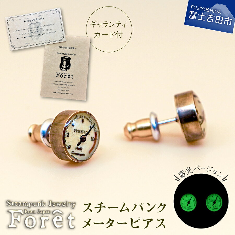 【ふるさと納税】 ピアス ジュエリー アクセサリー スチームパンク 圧力 メーター 両耳用 プレゼント ギフト