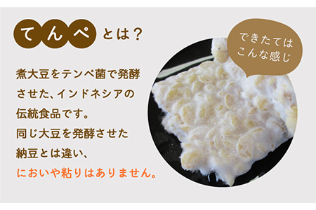【身体にやさしい発酵食品！】テンペ詰め合わせ（テンペ150g×3袋/テンペ味噌800g×1袋）【しろいし特産物直売所】 [IAI005]