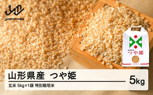 【先行予約】新米 つや姫 玄米 5kg 11月後半発送 特別栽培米 令和8年産 2026年産 山形県産 ※沖縄・離島への配送不可 on-tsgxb5-11s