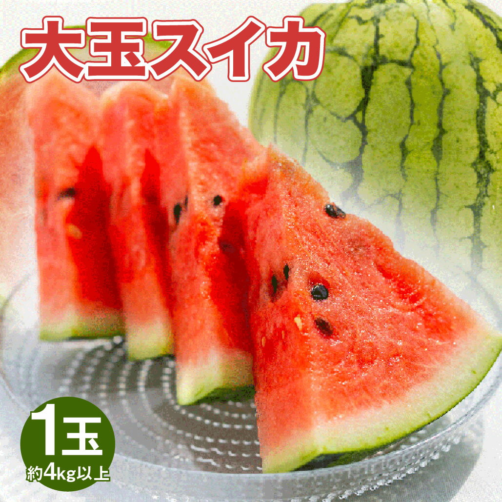 【ふるさと納税】 大玉スイカ 1玉 4kg以上 スイカ 西瓜 フルーツ 果物 くだもの 果実 おやつ 植木町 熊本県 国産 常温 送料無料 【2026年5月上旬～6月上旬迄発送予定】