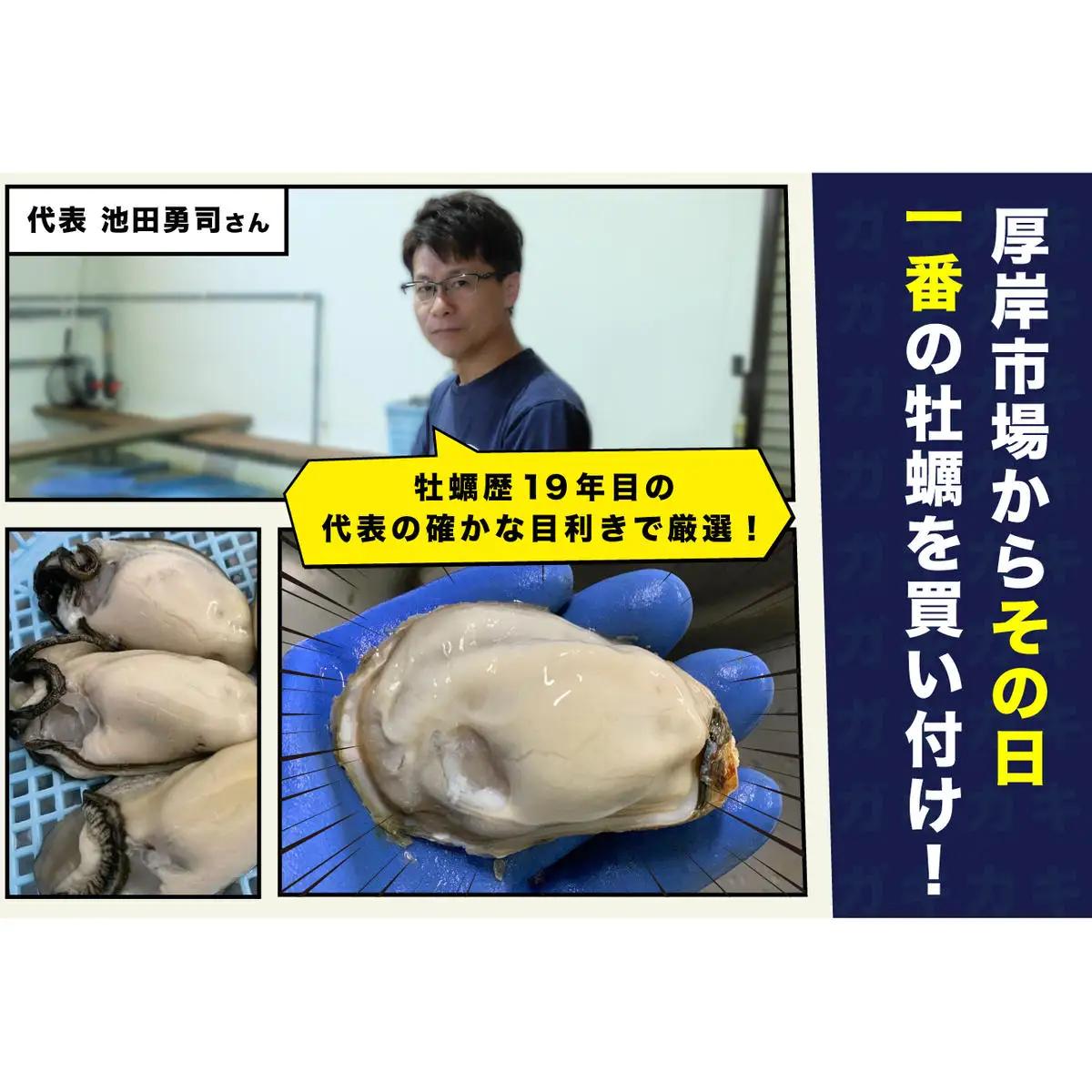 厚岸産 むいたよ！ ダブルえもん 100g×2パック 牡蠣 牡蠣のむきみ むき牡蠣 北海道 食べ比べ セット