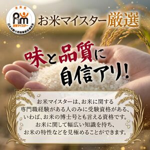 茨城県 筑西市産 コシヒカリ 10kg コシヒカリ