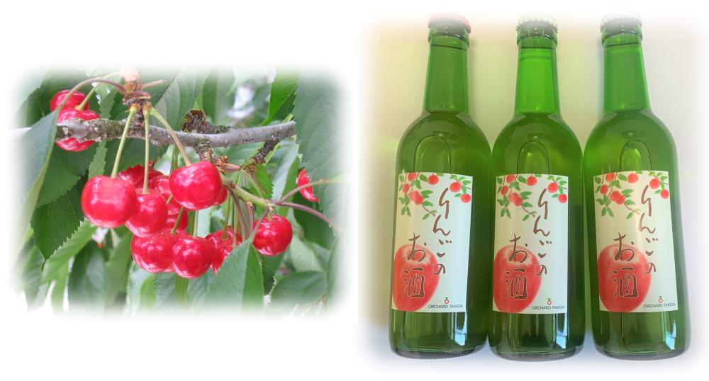 
                  08-40-008　さくらんぼとりんごのお酒セット
                