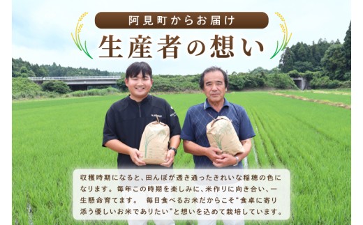 米 コシヒカリ 精米 5kg 令和8年産 茨城県産 お米 こめ コメ ごはん 白米 こしひかり 茨城県産米 単一米 単一原料米 安心 安全 送料無料 国産 人気 数量限定 （85-R8i025_05）