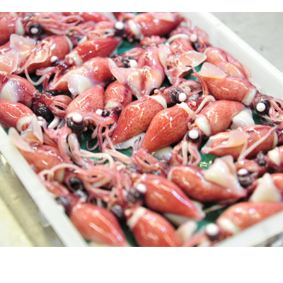 
            富山湾産ボイルほたるいか　230g×2(からし酢みそ付き)【1599127】
          