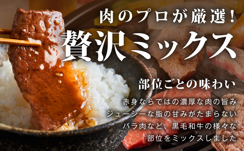 【スピード発送】黒毛和牛 部位ミックス 焼肉用 400g【氷温熟成×特製ダレ 小分け 牛肉 黒毛和牛 簡単調理 訳あり 大阪 泉佐野 大阪府 泉佐野市】