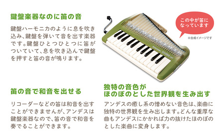 ゆる～い音色を楽しめる鍵盤リコーダー アンデス 雑貨 日用品 