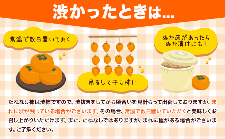 ＜10月より発送＞たねなし柿 約7.5kg 刀根早生 平核無柿 ひらたねなしかき 池田鹿蔵農園《10月上旬-12月上旬頃出荷》 和歌山県 日高町 柿 カキ かき たねなし ジューシー フルーツ 種無柿