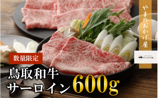 鳥取和牛 サーロイン しゃぶしゃぶ・すき焼き　600g 国産 牛肉 サーロイン 和牛 黒毛和牛　KR1307