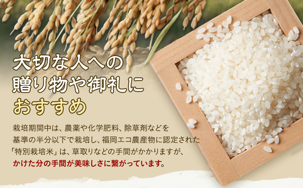 【特別栽培米】久保山百年米-玄米(2kg×3袋)計6kg　【定期便3回】