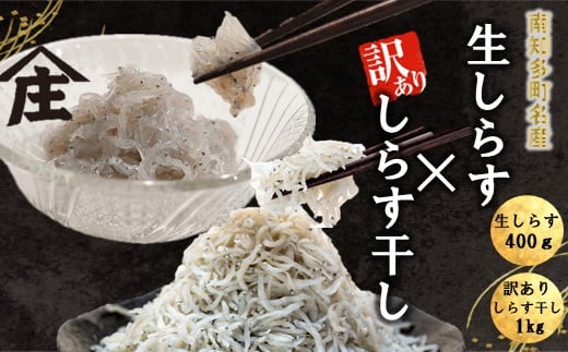 生しらす 400g 訳ありしらす干し 1kg セット 冷凍 刺身 真空パック しらす干し 炒飯 パスタ ごはん 丼 サラダ 魚 料理 愛知県 南知多町 師崎 シラス しらす 小魚 魚貝 魚貝類 しらす シラス 海鮮 しらす丼 シラス丼 ふるさと納税しらすしらす おすすめ 大人気 南知多産しらす愛知県産しらす 