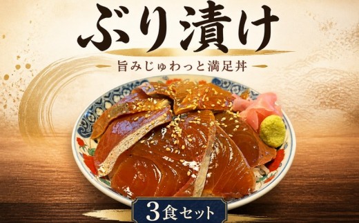 ブリ 漬け丼 3食 ぶり 海鮮 漬け 海鮮丼 セット 鰤 刺身 冷凍 漬け丼 トロ 惣菜 食品 小分け 魚介類 保存食 一人暮らし 鮨 寿司 おかず つまみ おつまみ どんぶり 簡単調理 カンタン ごはん 10000円 特性 和食 晩ご飯 魚介 魚 新鮮 やよい寿司 神奈川 湘南 藤沢