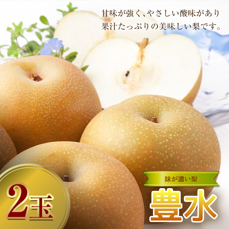 ＜2027年秋出荷＞味が濃い梨 豊水 2玉 F24R-126