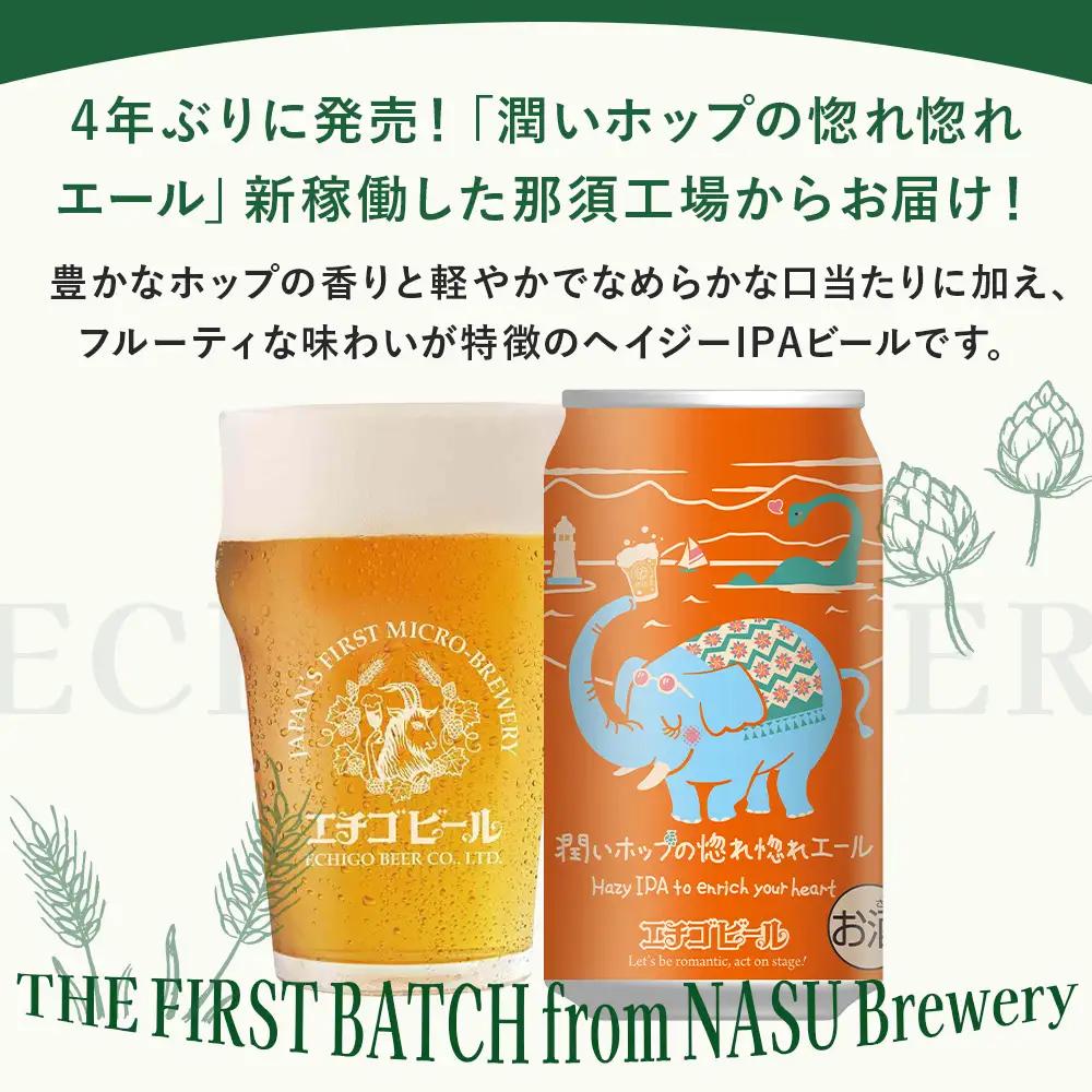 クラフトビール エチゴビール 潤いホップの惚れ惚れエール 350ml 缶 24本 〔P-484〕 那須町