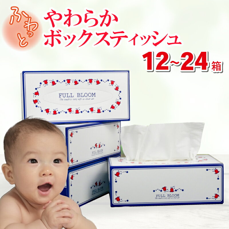 ティッシュ ペーパー ボックス 12箱 日用品 消耗品 防災 備蓄 生活用品 沼津