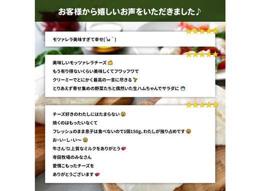 モッツァレラチーズ6個入セット【150001】