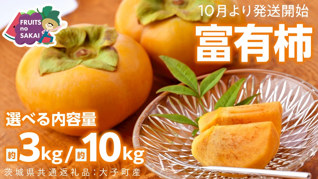
                  ＼ 選べる内容量 ／ 富有柿 Lまたは2L 約3kg or 2L以上 約10kg【2026年10月より発送開始】（茨城県共通返礼品 [柿]：大子町産） | 柿  かき 旬 お取り寄せ フルーツ 甘い 秋の味覚
                