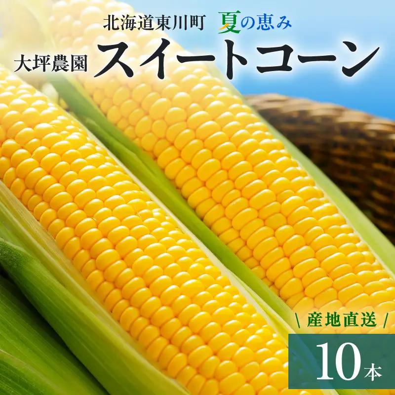 【大坪農園】夏の恵み　北海道東川町産　スイートコーン10本入り