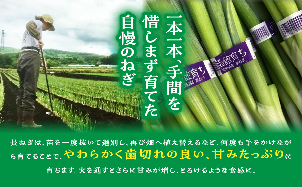 杉村仁農園の甘くてやわらかい長ネギ 5kg NACA001