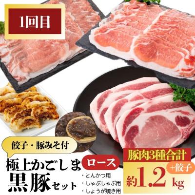 ふるさと納税 肝付町 <定期便・全3回(隔月)>『かごしま黒豚ふるさと定期便』極上セットE　E02005 |  | 01