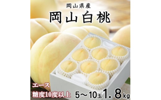 ＜先行受付＞岡山白桃 エース 5～10玉 1.8kg 岡山県産【1305706】