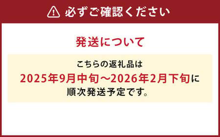 【厳選品】岩手にのへじゃがいも「伝」3～4種 品種おまかせ (サイズ混合) 5kg 【2025年9月中旬から2026年2月下旬発送予定】／ジャガイモ じゃがいも 芋 イモ 野菜 お取り寄せ 産地直送