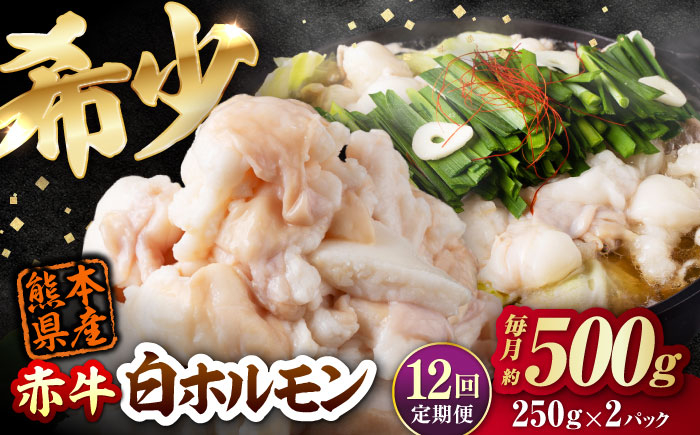 
            【全12回定期便】 赤牛 ホルモン 500g（250g×2パック） / お肉 肉 牛肉 あか牛 小腸 シロホルモン もつ 熊本県産 冷凍 和牛 赤牛 褐毛和種 ホルモン モツ モツ鍋 もつ鍋 鍋 焼き肉 焼肉 定期便 定期便12回 冷凍 国産 熊本 熊本県 肥後 熊本県産【五右衛門フーズ熊本店】 [AYBV039]
          