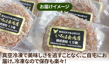 レンジで簡単！ グリル ハンバーグ 10個入り 《豊前市》 【くり助】 国産 [VAJ004]