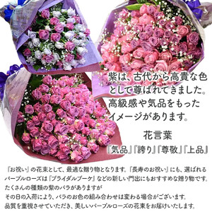 紫バラ70本【 薔薇  バラ 花 】