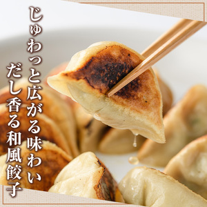 ＼テレビで紹介されました！／お出汁滲み出る和餃子(計48個・12個入り×4袋) 餃子 生餃子 ギョウザ ぎょうざ ギョーザ セット 詰め合わせ おかず お惣菜 冷凍 和風 水餃子【餃子のはま田】akn