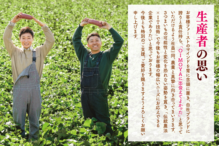 熟成 紅はるか生芋 Mサイズ 混合 10kg いも サツマイモ さつまいも 食物繊維 腸活 ねっとり 甘い 焼き芋 お取り寄せ グルメ 水戸市 茨城県（IN-21)