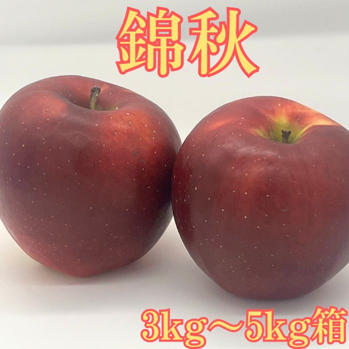 【ふるさと納税】りんご 錦秋(きんしゅう) 3kg箱～＜9月下旬より発送＞ 長野県 信州 南信州 高森町 りんご 旬のりんご 旬の果物 大野農園 【配送不可地域：離島】