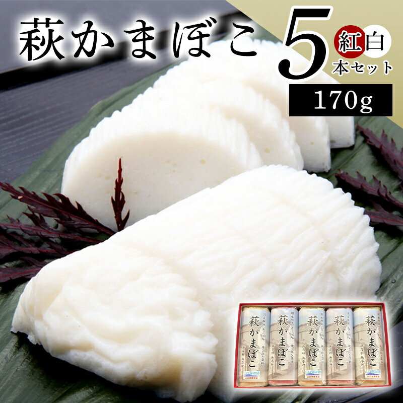 【ふるさと納税】萩かまぼこ 170g 紅白5本【化粧箱入】（国産鮮魚エソ100％） 国産 日本産 食品 グルメ 料理 おかず 惣菜 お弁当 非常食 保存食 ご飯のお供 ごはん ご飯 食卓 山口県 萩市 美味しい おいしい プレゼント ギフト プチギフト 贈り物 お中元 人気 おすすめ
