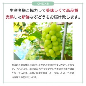 【先行予約】数量限定【岩手県産ぶどう】シャインマスカット約1kg （AR006-1）