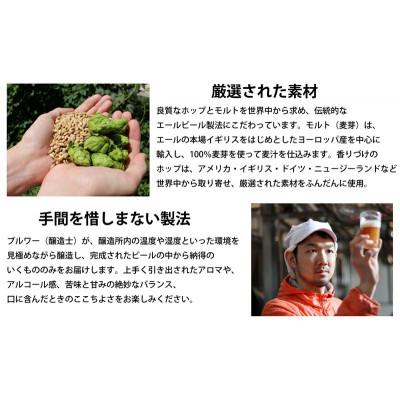 ふるさと納税 佐久市 【毎月定期便】クラフトビール　6種飲み比べセット　350ml×24本(ヤッホーブルーイング)全6回 |  | 02