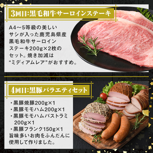 【E90002】＜定期便・全5回＞肝付町セレクト定期便《肉だらけ定期便B》 鹿児島 牛肉 黒毛和牛 豚肉 黒豚 鶏肉 唐揚げ 味付け 定期便 セレクト 加工品 肉加工品 簡単調理 冷凍 冷凍食品 【株