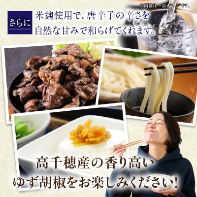 ふるさと納税 高千穂町 高千穂ゆず胡椒(辛)【米麹入り】3本セット |  | 02