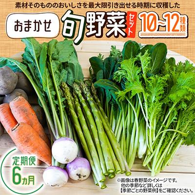 ふるさと納税 北広島市 【毎月定期便】おまかせ旬野菜セット　10〜12種類全6回
