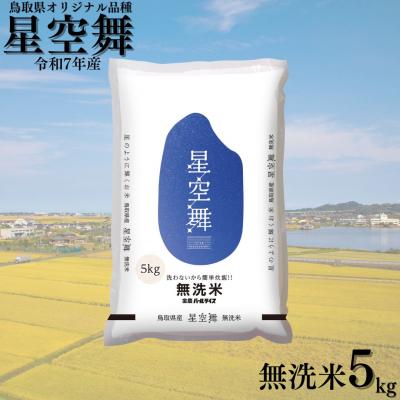 ふるさと納税 湯梨浜町 鳥取県産星空舞◇無洗米5kg◇令和7年産(393K.)