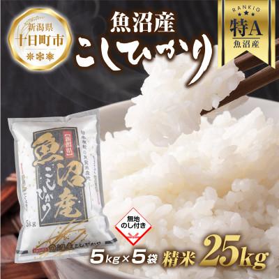 ふるさと納税 十日町市 【無地熨斗】魚沼産 コシヒカリ 5kg×5袋 計25kg (お米の美味しい炊き方ガイド付き)