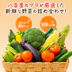 旬の新鮮野菜セットたっぷり13種以上【0054-3】