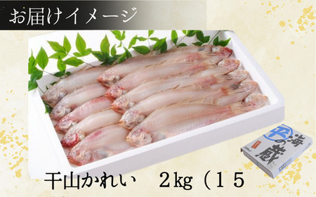 干物 甘干し山かれい2kg（15枚入り）干物の本場 香住産 冷凍 08-06