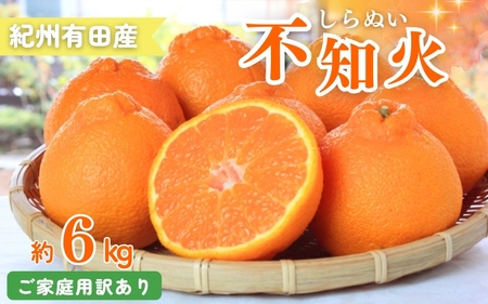【訳あり・ご家庭用】紀州有田産不知火(しらぬひ) 約6kg 【予約】【2026年2月中旬頃～2026年3月中旬頃に順次発送予定(お届け日指定不可)】【Z-uot831A】