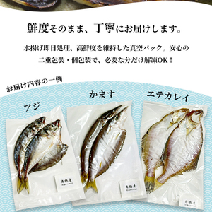 旬の魚 干物セット 贅沢詰合せ 4種～6種 日本海産