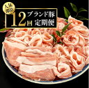 【ふるさと納税】＜毎月お届け便＞ブランド豚★得特盛り★1.2kg×12回 定期便 頒布会 四万十ポーク ブランド豚 豚肉 肉 冷凍 国産 ぶた肉 お肉 国産豚肉 国産ぶた肉 Rgbn-A01 国産 ぶた肉 豚肉 肉 お肉 国産豚肉 国産ぶた肉