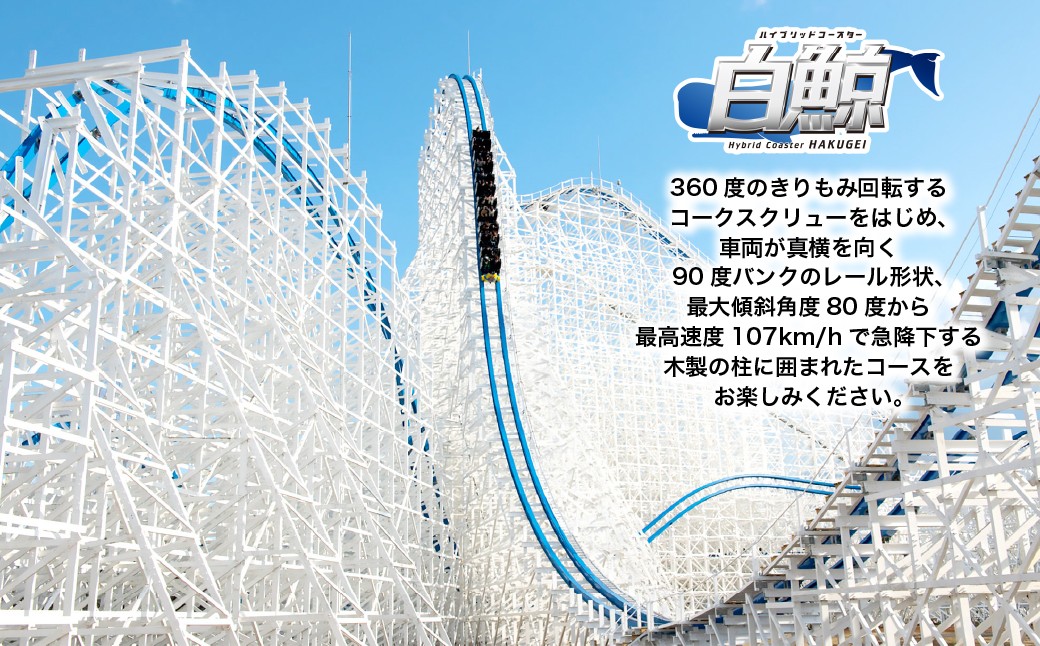 ナガシマリゾート ナガシマスパーランド入場券 および ジャンボ海水プール券 （大人4名様分） 【有効期限有り】 【2026年7月上旬～8月下旬発送予定】 ウォータースライダー ラフティング アトラクシ