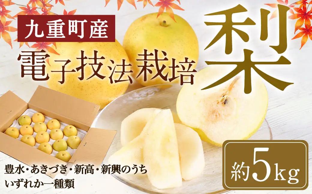 九重町産 電子技法栽培 梨 5kg 果物 大分県産 (豊水・あきづき・新高・新興のうちいずれか一種) 【2026年9月上旬～12月上旬発送予定】