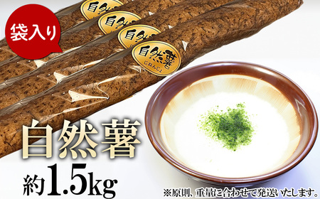 自然薯 約1.5kg ( カット済 ) ※重量（ 約1.5kg ）に合わせてお届け 2026年12月～2027年3月ごろ発送予定