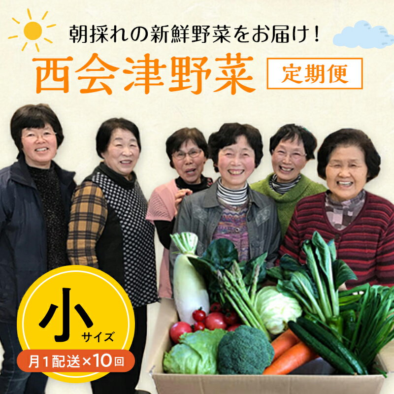 【ふるさと納税】西会津ミネラル野菜セット定期便（小）10回 F4D-1406